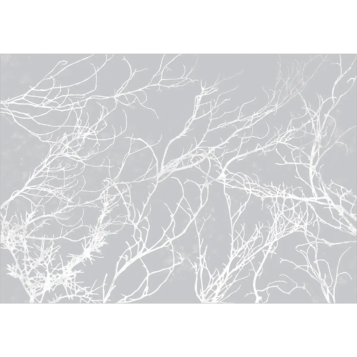 Fototapete White Trees | Grau