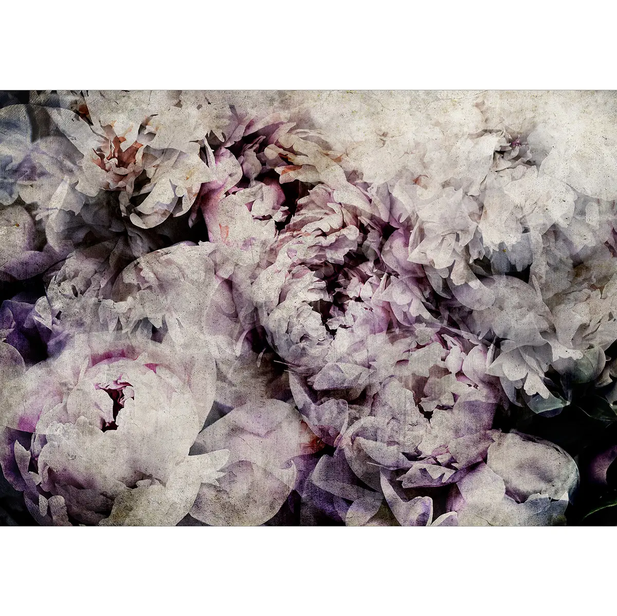 Fototapete Home Flowerbed | Grau