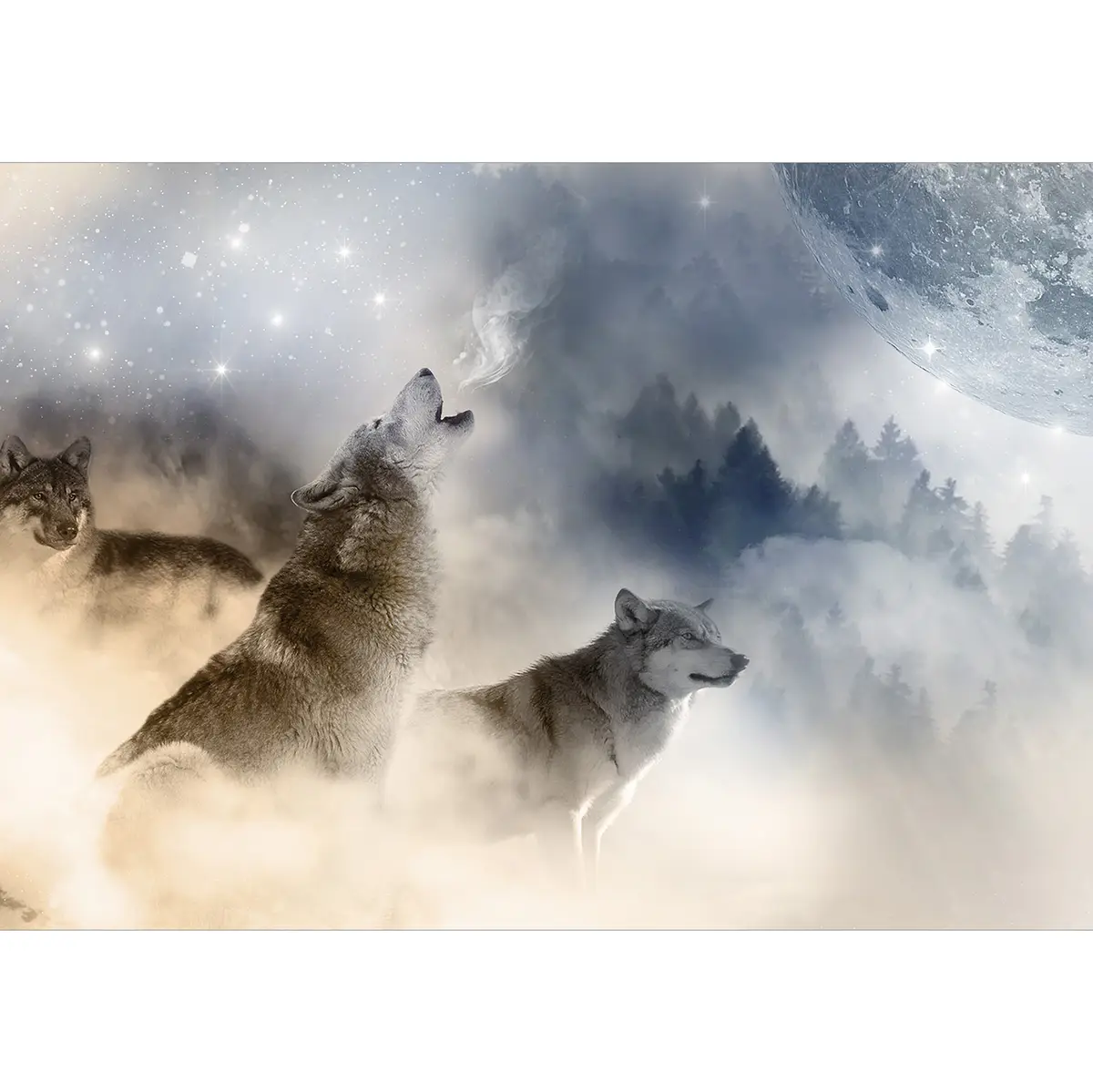 Fototapete Pack | Grau