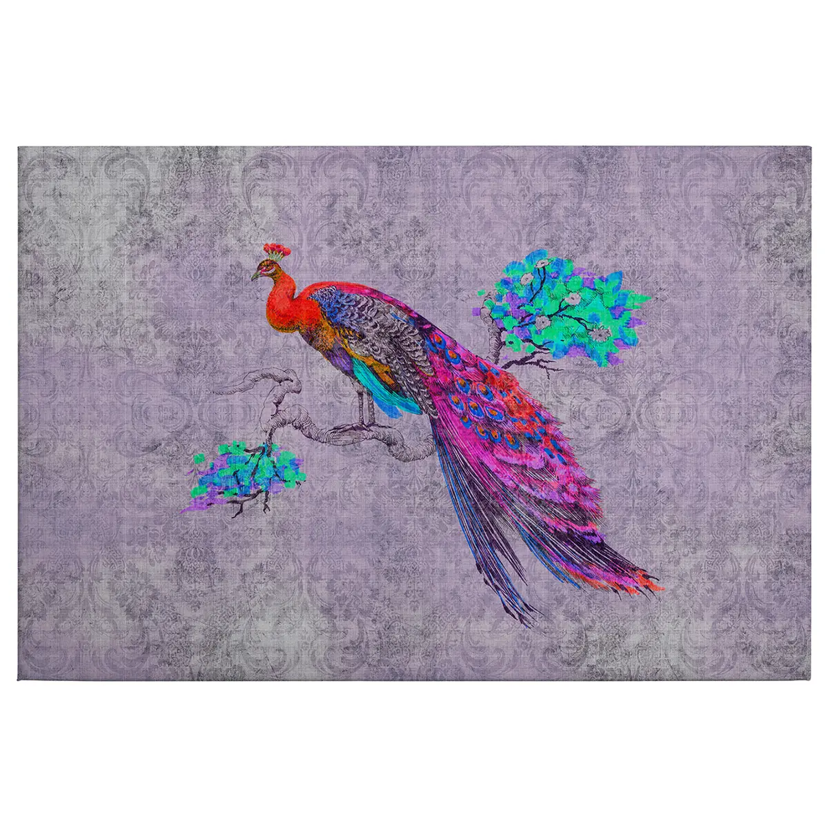 Leinwandbild Strauß Peacock | Mehrfarbig