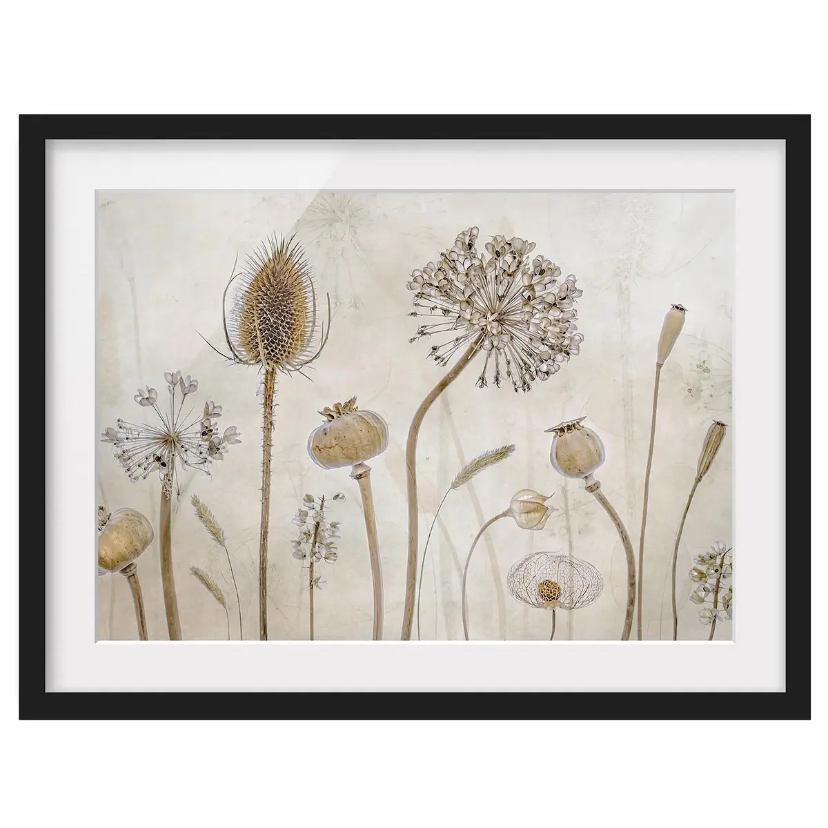 Bild Growing Old II | Beige