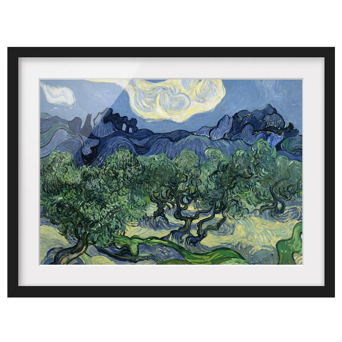 Vincent van Gogh Olivenbäume II Bild | Blau