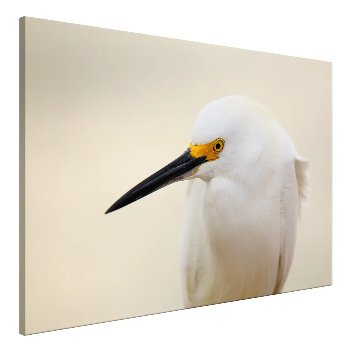 Wandbild Snowy Egret Leinen Beige | Beige