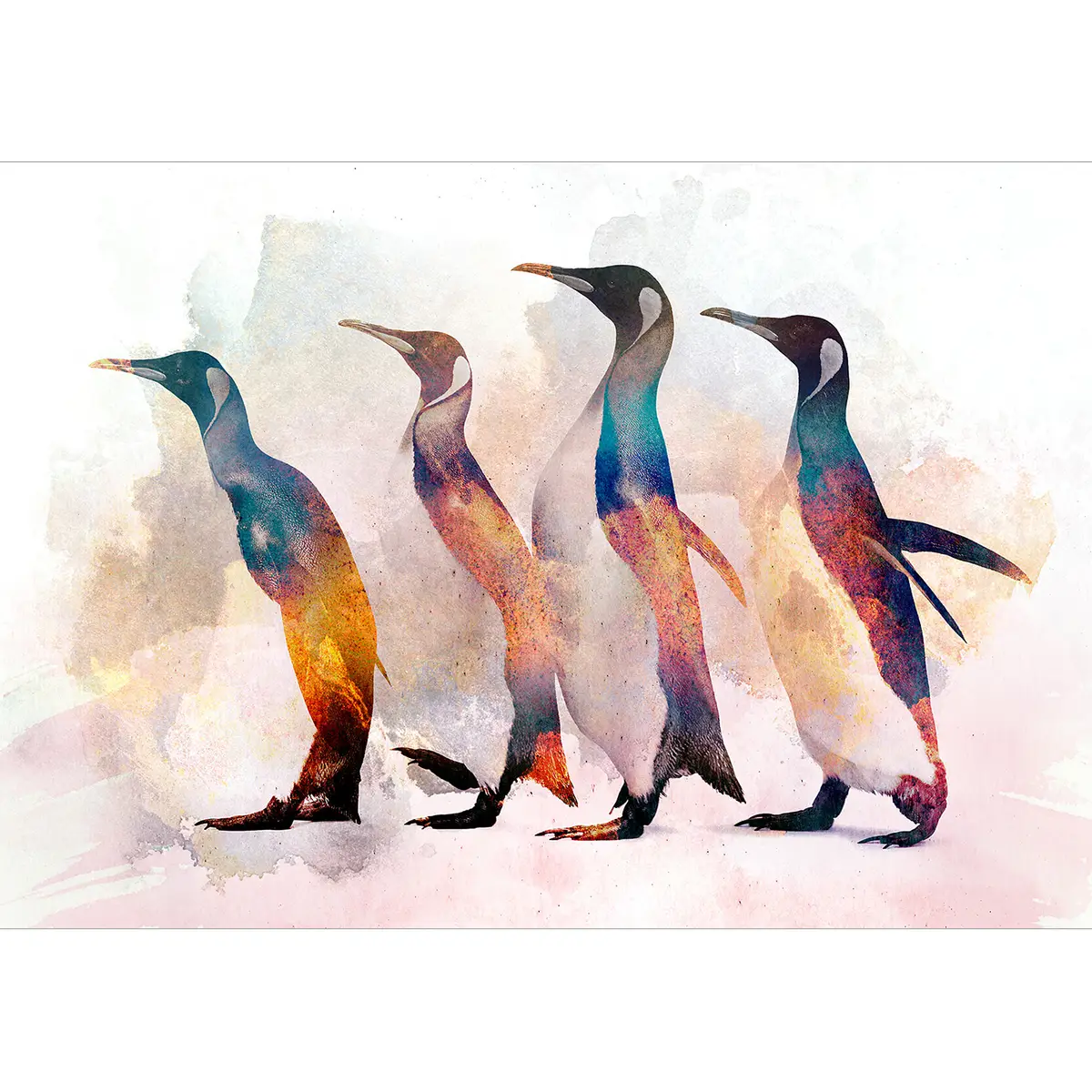 Vlies Fototapete Penguin Wandering 400cm | Mehrfarbig