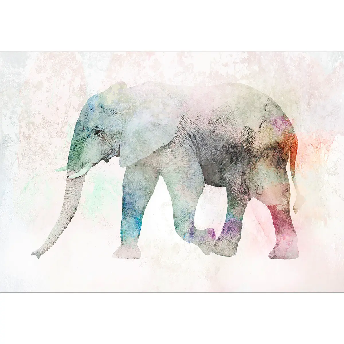 Vlies Fototapete Painted Elephant | Mehrfarbig