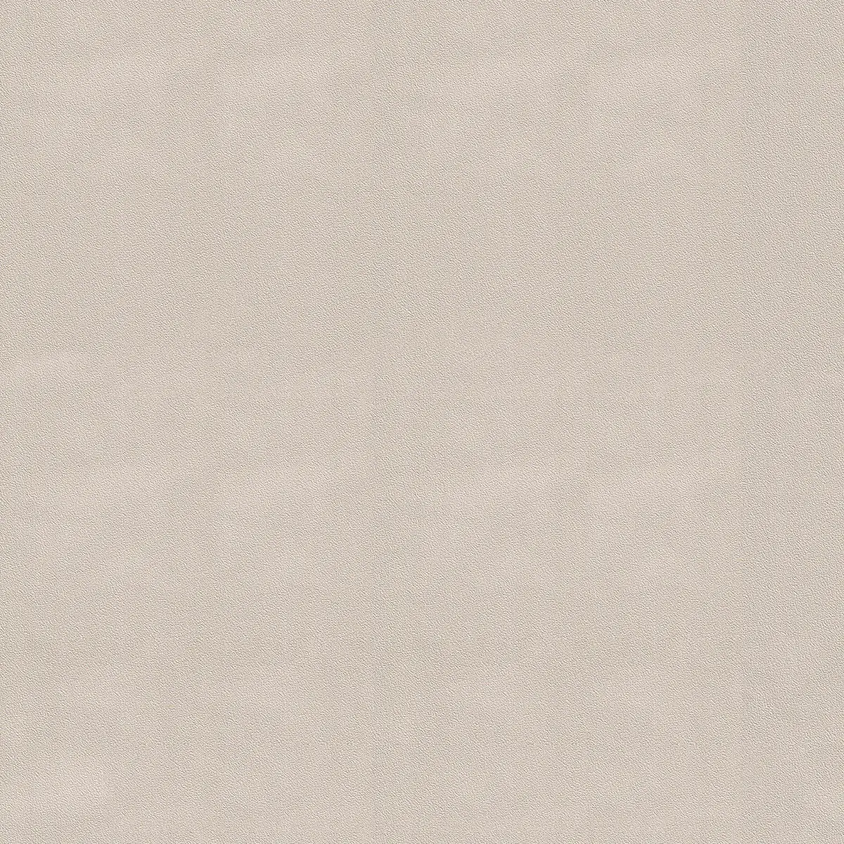 Vliestapete New Flash | Beige