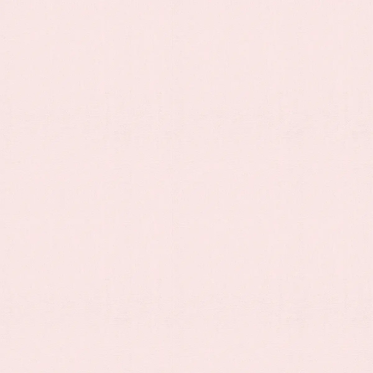 Vliestapete Uni | Rosa
