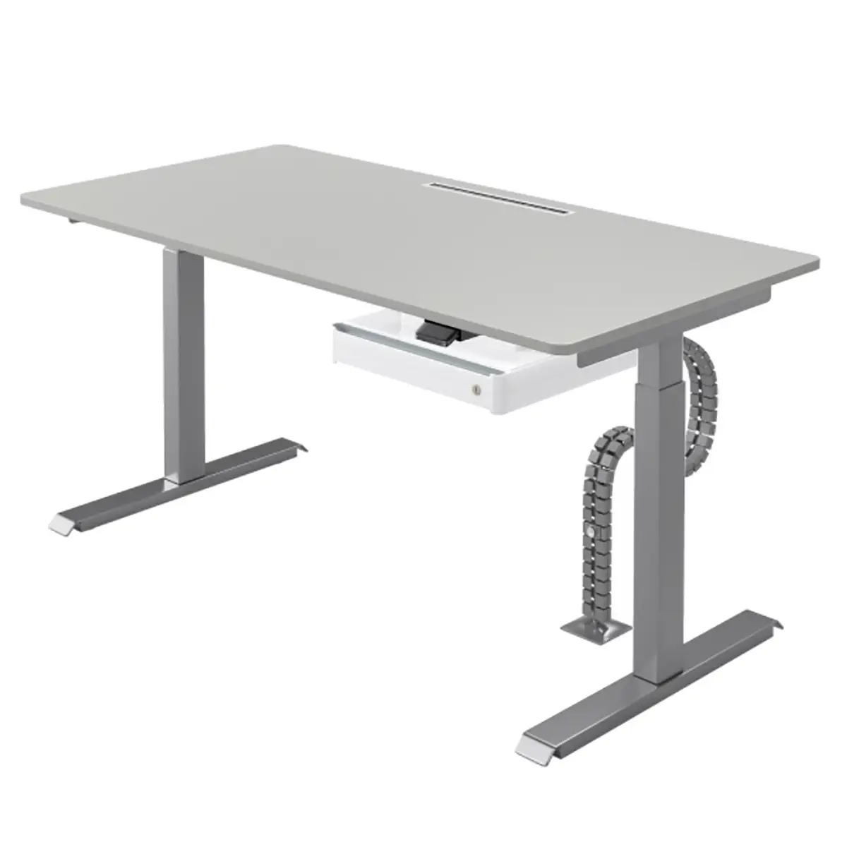 Schreibtisch Warnes II | Grau