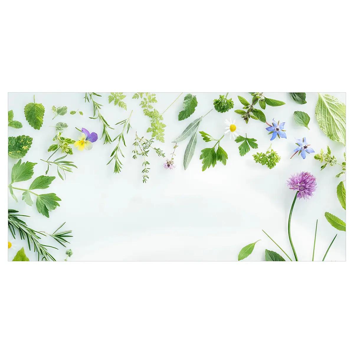 Vinylteppich Kräuter und Blüten 200 x 100cm Grün | Grün