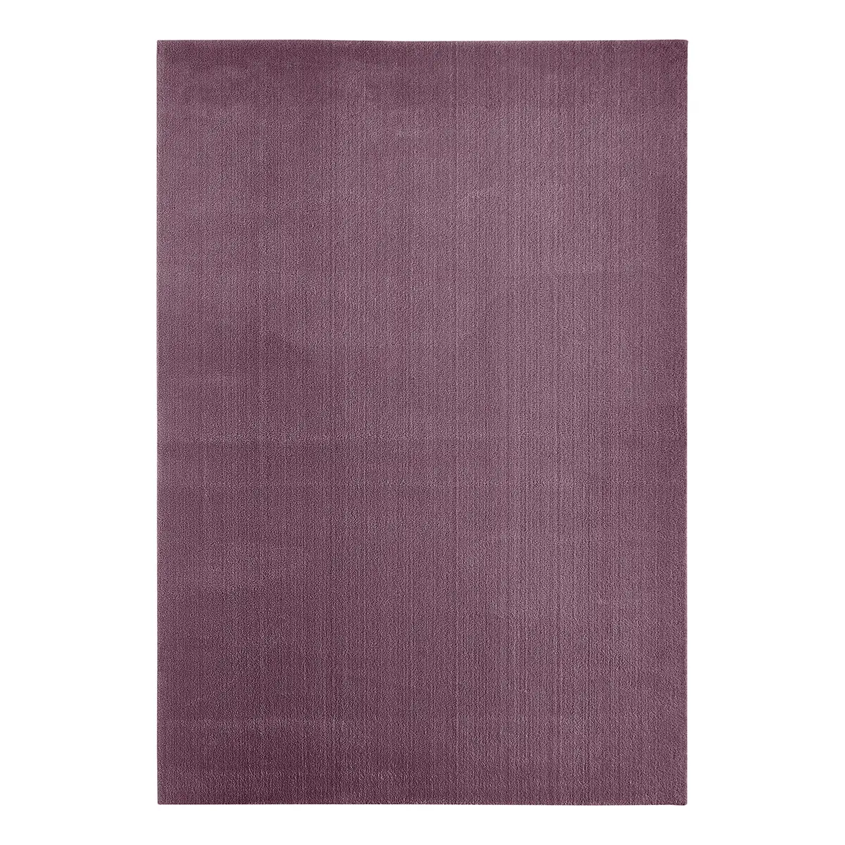 Hochflorteppich Arezzo 80 x 150cm Violett | Lila