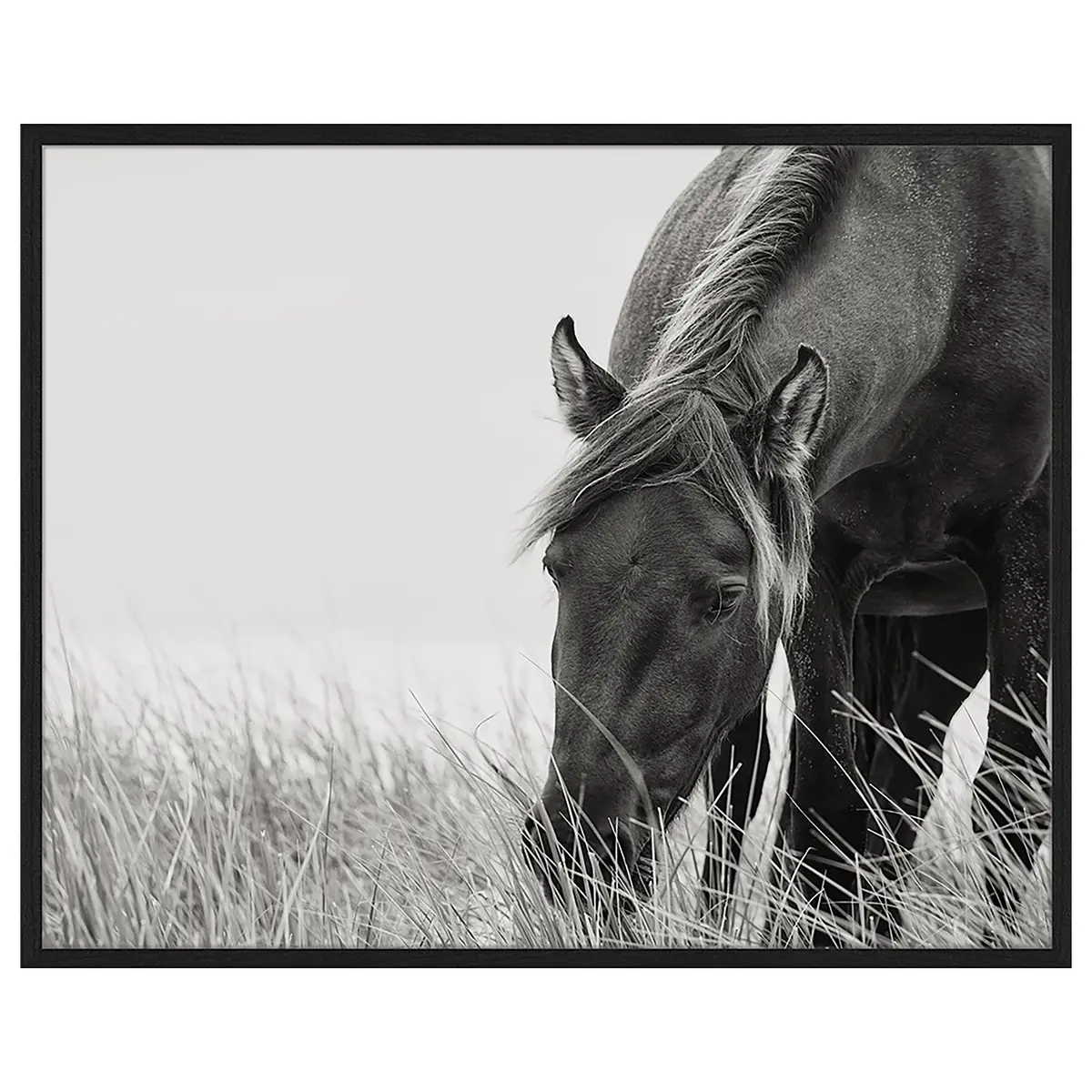 Bild Sable Horse | Mehrfarbig