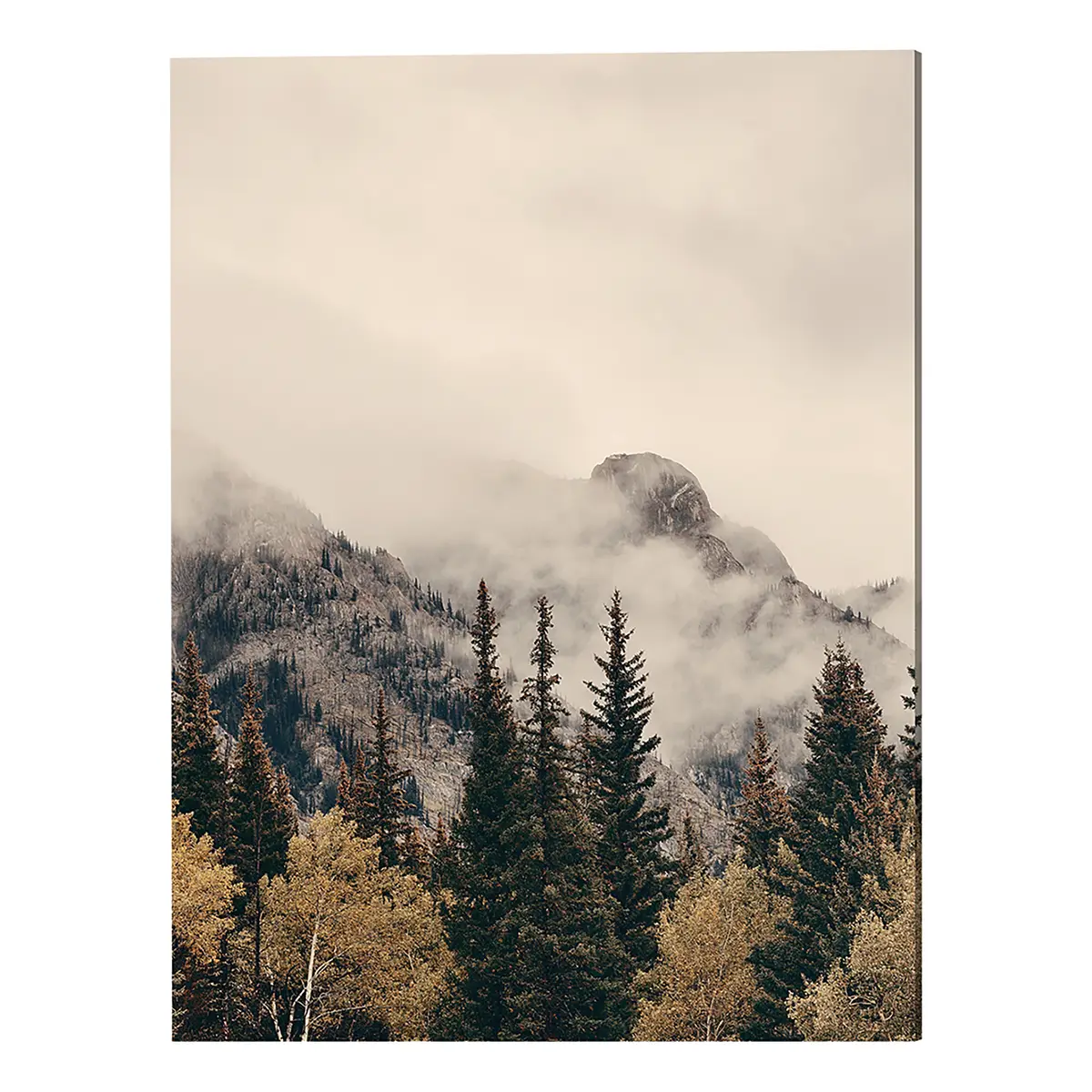 Metallbild Foggy Banff | Mehrfarbig