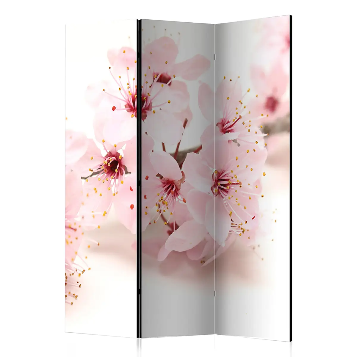 Paravent Cherry Blossom | Mehrfarbig