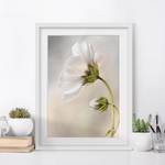 Impression d’art fleur céleste II Partiellement en pin massif - Blanc - 50 x 70 cm