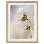 Bild Himmlischer Blütentraum IV Eiche teilmassiv - Eiche - 40 x 55 cm
