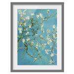 Impression d’art fleurs d’amandier III Partiellement en pin massif - Gris - 40 x 55 cm