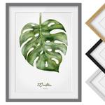 Impression d’art aquarelle Monstera III Partiellement en pin massif - Gris - 50 x 70 cm