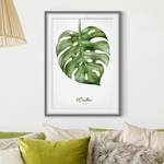 Afbeelding Aquarel Botanica Monstera III deels massief grenenhout - grijs - 50 x 70 cm