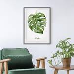 Impression d’art aquarelle Monstera III Partiellement en pin massif - Gris - 40 x 55 cm