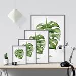 Impression d’art aquarelle Monstera III Partiellement en pin massif - Gris - 40 x 55 cm