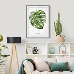 Impression d’art aquarelle Monstera III Partiellement en pin massif - Gris - 70 x 100 cm