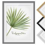 Afbeelding Aquarel Trachycarpus III deels massief grenenhout - grijs - 30 x 40 cm