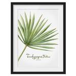 Afbeelding Aquarel Trachycarpus I deels massief grenenhout - zwart - 50 x 70 cm