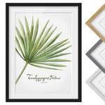 Afbeelding Aquarel Trachycarpus I deels massief grenenhout - zwart - 50 x 70 cm