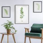 Impression aquarelle Eucalyptus III Partiellement en pin massif - Gris - 50 x 70 cm