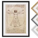Bild Da Vinci I Kiefer teilmassiv - Schwarz - 30 x 40 cm