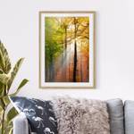 Tableau déco Morning Light IV Partiellement en chêne massif - Chêne - 40 x 55 cm