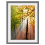 Tableau déco Morning Light III Partiellement en pin massif - Gris - 50 x 70 cm