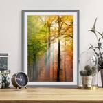 Tableau déco Morning Light III Partiellement en pin massif - Gris - 50 x 70 cm