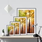 Afbeelding Morning Light III deels massief grenenhout - grijs - 50 x 70 cm