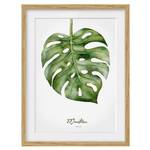 Afbeelding Aquarel Botanica Monstera IV deels massief eikenhout- eikenhout - 70 x 100 cm