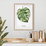 Afbeelding Aquarel Botanica Monstera IV deels massief eikenhout- eikenhout - 70 x 100 cm