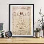 Bild Da Vinci I Kiefer teilmassiv - Schwarz - 50 x 70 cm