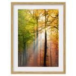 Tableau déco Morning Light IV Partiellement en chêne massif - Chêne - 70 x 100 cm