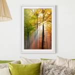 Afbeelding Morning Light II deels massief grenenhout - wit - 50 x 70 cm