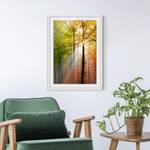 Afbeelding Morning Light II deels massief grenenhout - wit - 50 x 70 cm