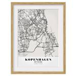 Bild Stadtplan Kopenhagen IV