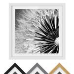 Afbeelding Paardenbloem Zwart & Wit II deels massief grenenhout - wit - 30 x 30 cm