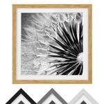 Tableau déco pissenlit noir et blanc IV Partiellement en chêne massif - Chêne - 30 x 30 cm