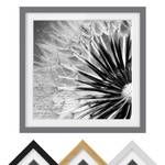 Tableau déco pissenlit noir et blanc III Partiellement en pin massif - Gris - 70 x 70 cm