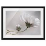 Afbeelding Simply Cosmos I deels massief grenenhout - zwart - 40 x 30 cm