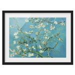 Impression d’art fleurs d’amandier V Pin massif - Noir - 55 x 40 cm