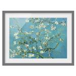 Impression d’art fleurs d’amandier VII Partiellement en pin massif - Gris - 100 x 70 cm