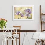 Impression d’art Astrantia Major II Partiellement en pin massif - Blanc - 55 x 40 cm