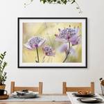 Afbeelding Astrantia Major I deels massief grenenhout - zwart - 55 x 40 cm