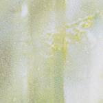 Duschvorhang Wald 180 x 180 cm Braun - Grün - Kunststoff - Textil - 180 x 180 x 1 cm